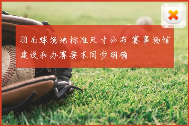 羽毛球场地标准尺寸公布 赛事场馆建设和办赛要求同步明确